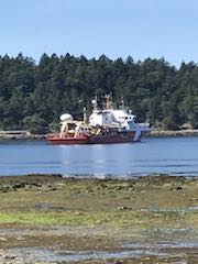 Salish 56